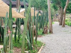 -MOJ coffee(瓯海泽雅水碓坑店)