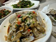 -全乐鱼馆·淳牌有机鱼直营店