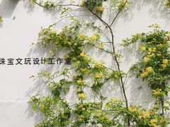 -青果巷历史文化街区
