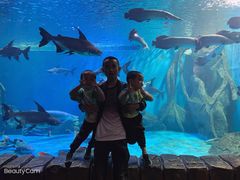 -多彩贵州城极地海洋世界