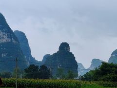 -明仕田园