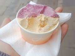 -Dip in Gelato(富民路店)