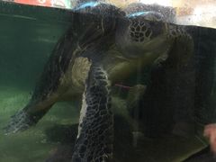 -鸿通城购物中心