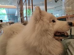 -COSTA COFFEE(广州广粤天地店)