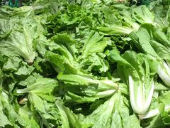 -证大大拇指广场(芳甸路店)