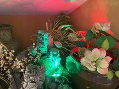 -巢爷老味(东方红店)