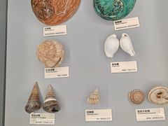 -天津古林古海岸遗迹博物馆