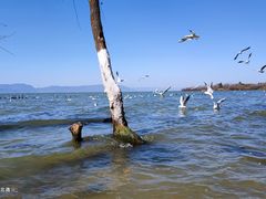-捞渔河湿地公园