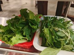-正能量脆肉鲩火锅