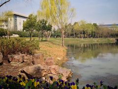 -东南大学(九龙湖校区)