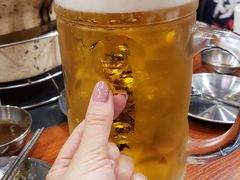 -大阪烧肉BAKA一代(十亩地店)