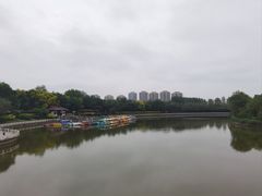 -塘沽森林公园