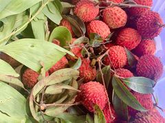 -56号精品家常菜(郁江道店)