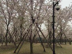 -马相伯故居
