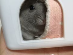 -聚盛源蒸汽海鲜火锅烤肉自助(巨川金海岸购物广场店)