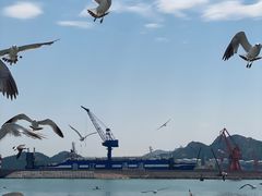 -海驴岛(荣成市)