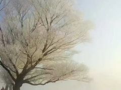 -雾凇岛
