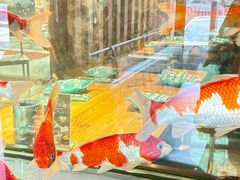-歪嘴香鸡公煲(大连佳兆业店)
