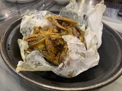 -鸽鸟轩(石岐店)