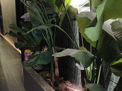 -涟LIAN·泰式按摩·MASSAGE·SPA(华强北店)