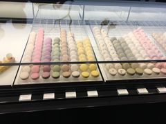 -BLACKSWAN黑天鹅(环球店)