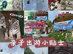 -栾川竹海野生动物园