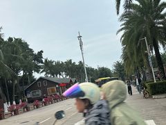 -万绿园