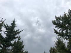 -汉景帝阳陵博物院