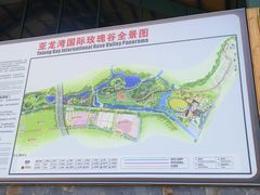 -亚龙湾国际玫瑰谷