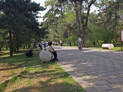 -沈阳市东陵公园