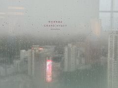 -君悦酒店·大堂酒吧·高空下午茶·暮色微醺