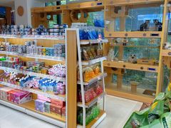 -鼎级派宠物(中南店)