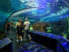 -瑞普利水族馆