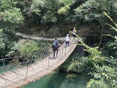 -大奇山国家森林公园