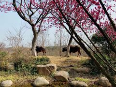 -茅山东方盐湖城景区