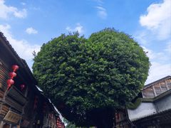 -三坊七巷历史文化街区