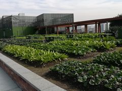 -杭州温德姆至尊豪廷大酒店