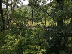 -木兰云雾山
