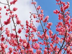 -白塘生态植物园
