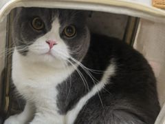 -艾贝尔宠物医院 ·内科全科(梁溪路店)