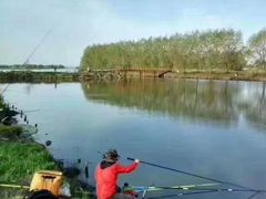 -白渔泡湿地公园