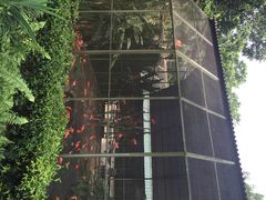 iphone_upload_pic-新加坡飞禽公园