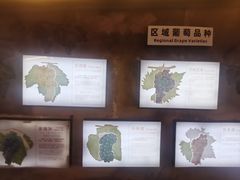 -青岛葡萄酒博物馆