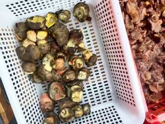 -草墩罗非鱼庄•野生菌•腊排骨(七星街上段店)