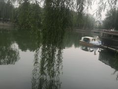 -黄村公园