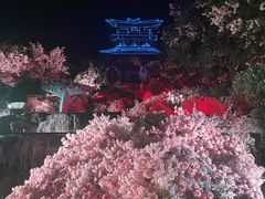 -茅山东方盐湖城景区