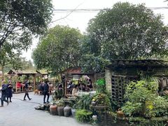 -青城甲(青城山店)