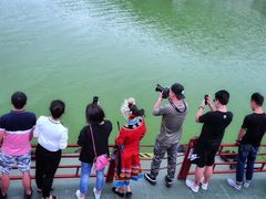 -阿依河景区