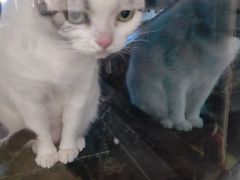 -弓舍射箭俱乐部(高新总店)