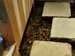 -邈墨茶馆(凤起路店)